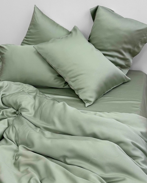 Постельное белье Тенсел Нежный Шалфей с простыней на резинке