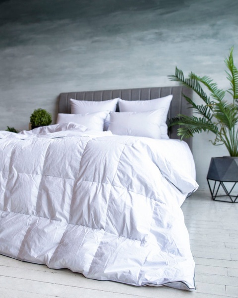 Одеяло Gray Familie Down всесезонное